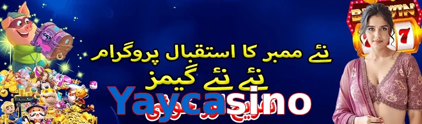 Yaycasino